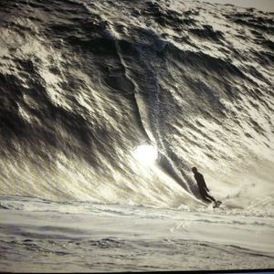 Meet your Posher, Gregory